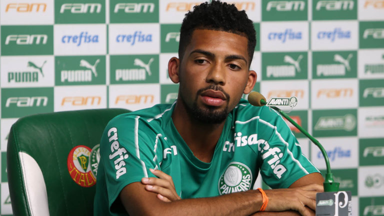 Matheus Fernandes Siqueira