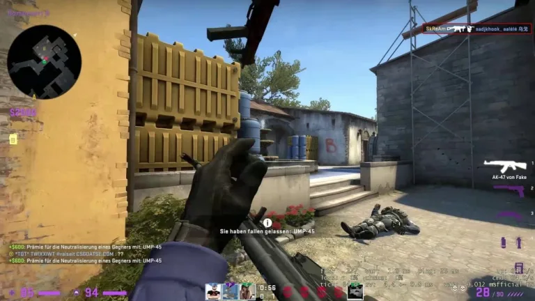 Why Do Players Use Hacks in CS: GO