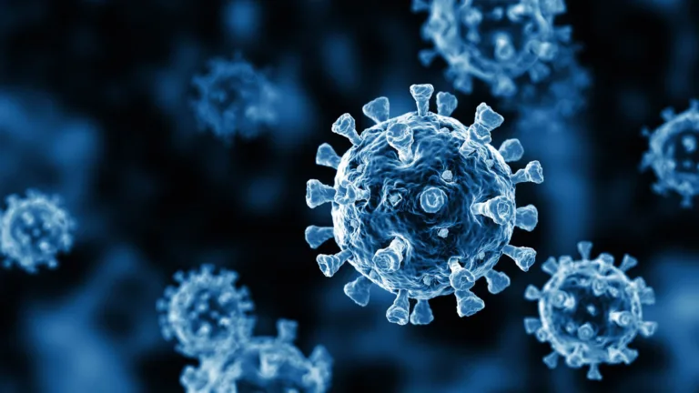 US administration working on a new COVID vaccine passport system