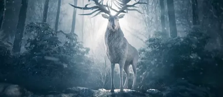 "Shadow and Bone (Season 2)": Everything We Know About the Fantasy TV series