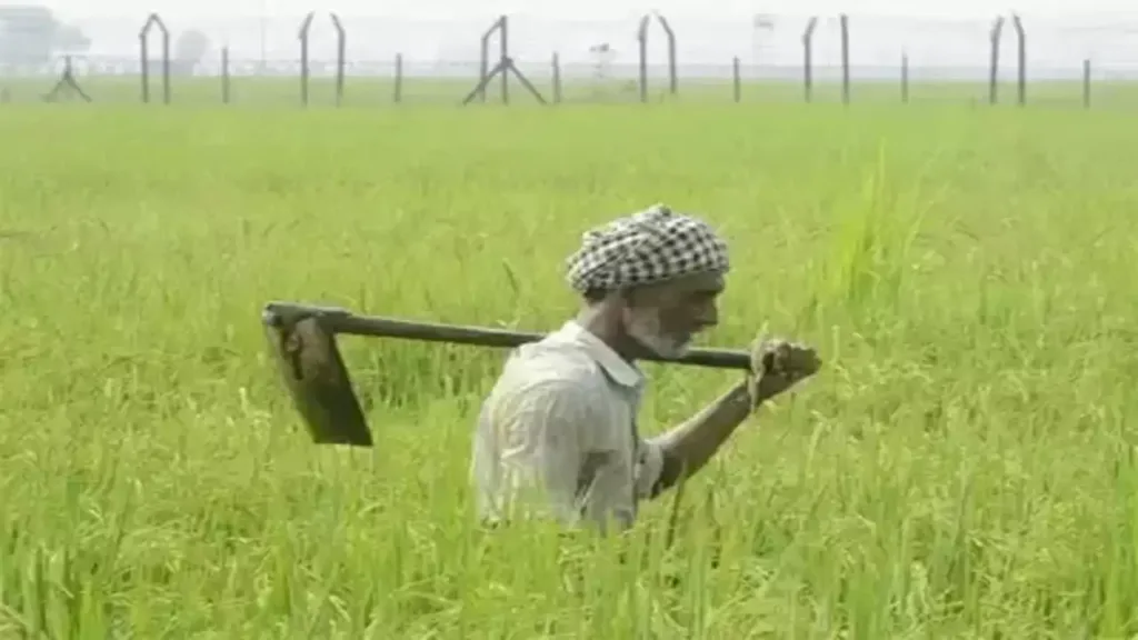 PM Kisan Beneficiary Status Now