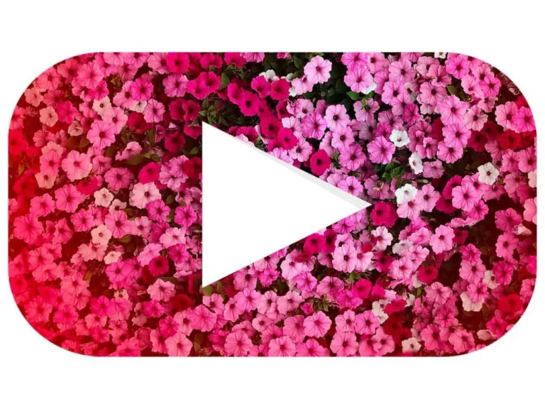 YouTube Downloader