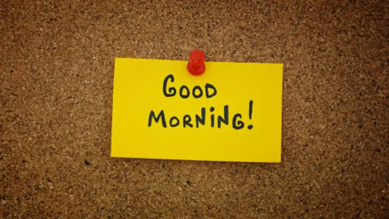 Get A Collection of  Fresh Image for Good Morning in 2024