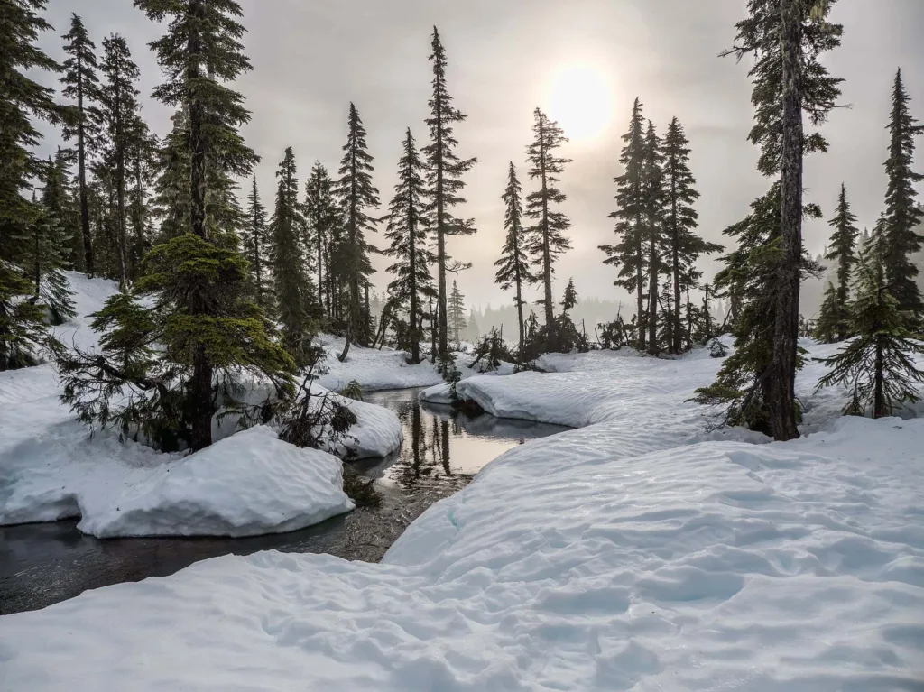 The Top 10 Snowiest Countries in the World of 2024