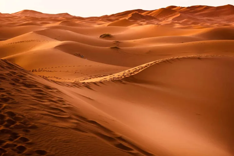 What Technology Should You Use in the Desert?