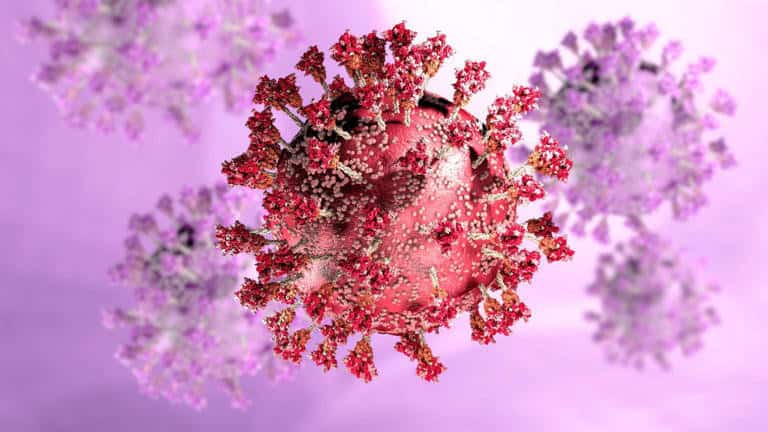 New Covid XEC Variant Spreading Across Europe: What We Know