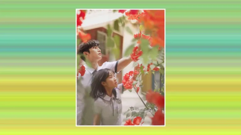 5 Must-Watch Korean Dramas and Films You Can Stream for Free on Jio Cinema