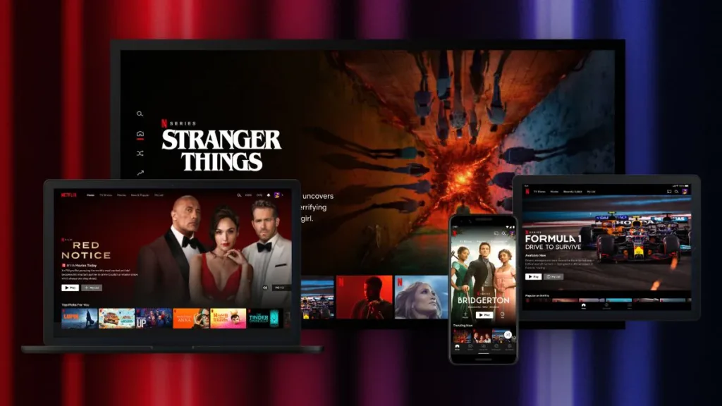 Netflix Subscription