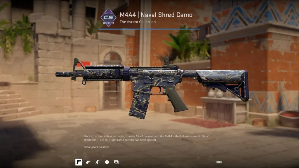 CS2