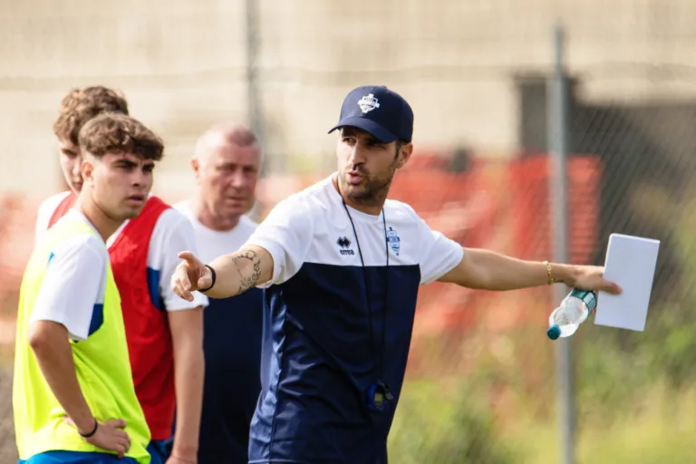 Cesc fabregas