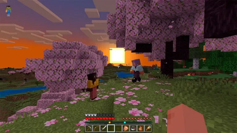 Minnccsr ff