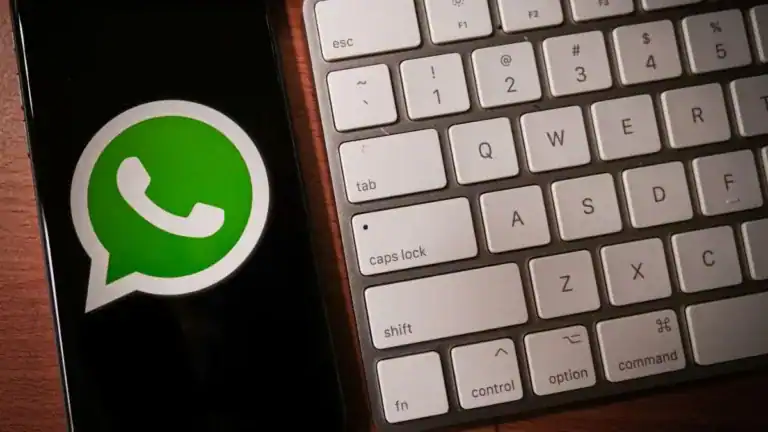 Whatsapp username