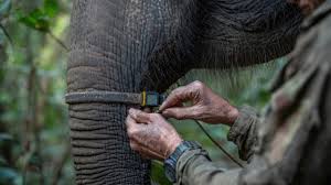 GPT Image 2: Revolutionizing Wildlife Education