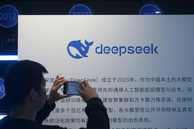 DeepSeek Valuation Guide