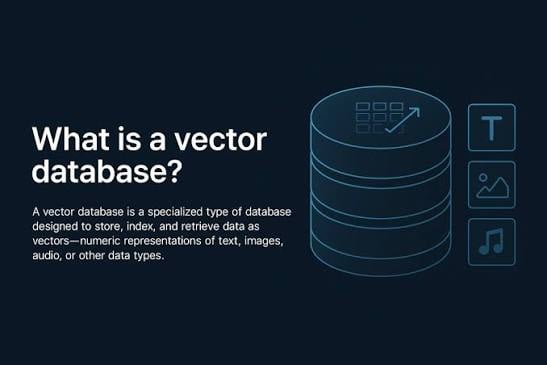 Vector