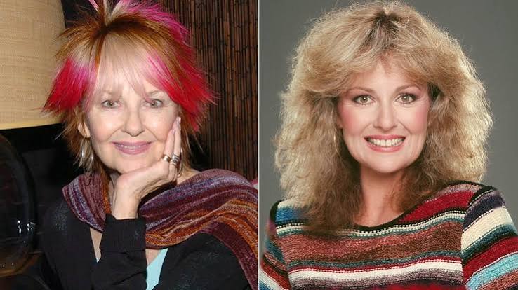 Shelley Fabares Passes Away at 82: A Television Icon’s Final Chapter